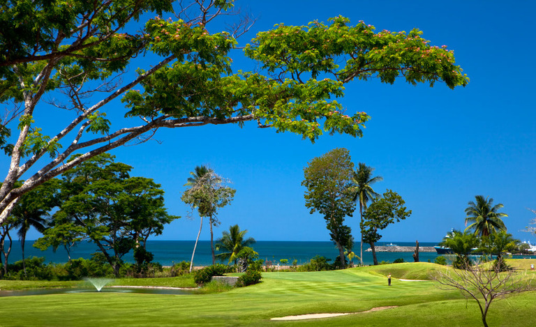 Course greens